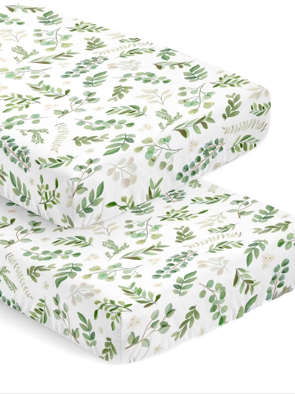 Sweet Jojo Designs 2 Fitted Crib Sheets Infant Green White Botanical Floral Set
